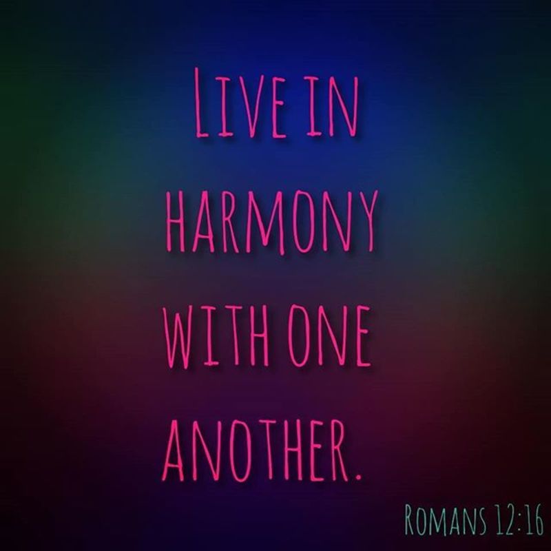 Live in Harmony